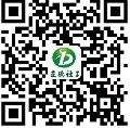 男女爱爱啊啊啊啊快速进入律动